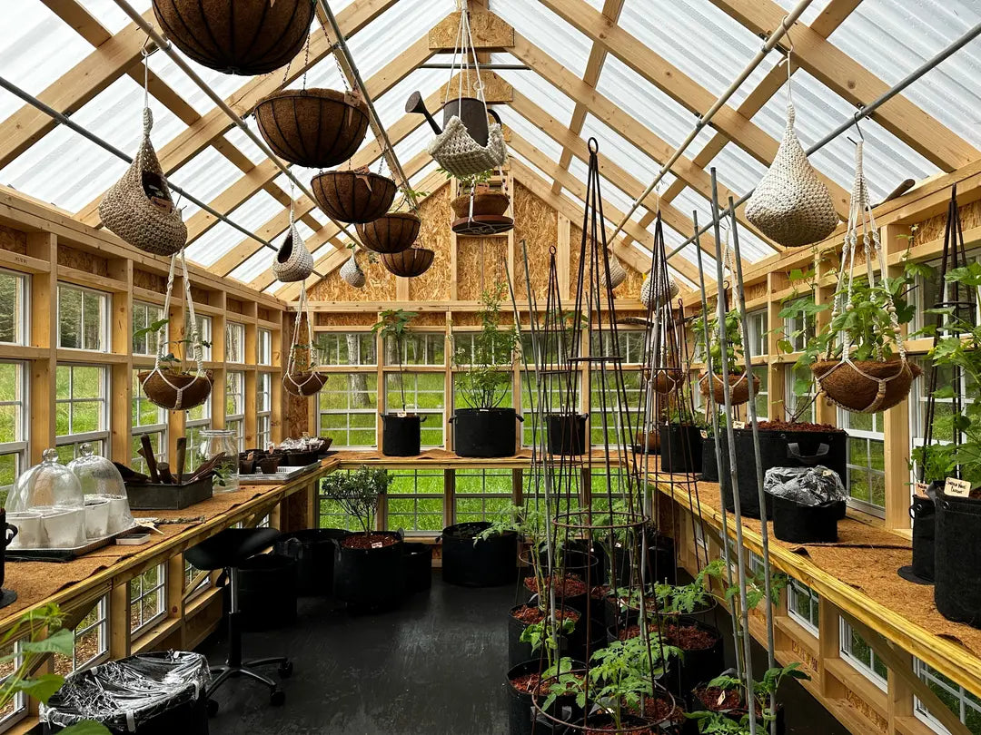 Greenhouse