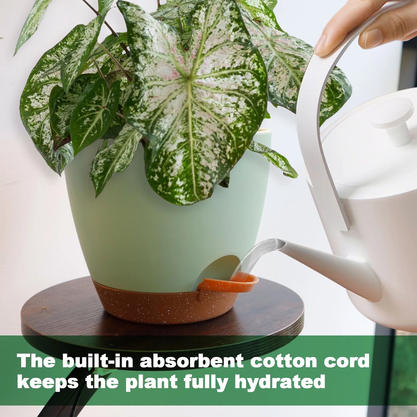 Five Piece Self Watering Planters With Drains And Saucers