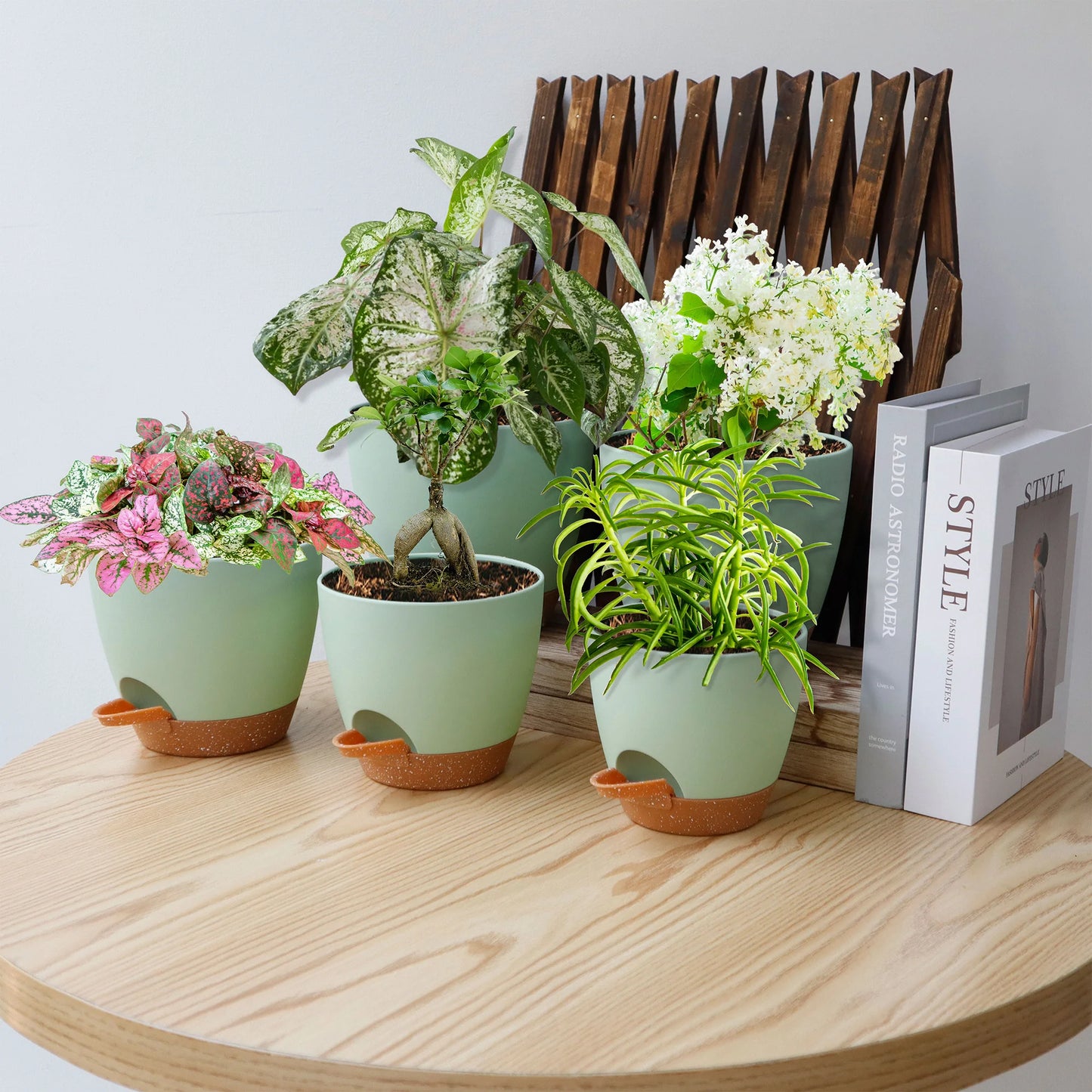 Five Piece Self Watering Planters With Drains And Saucers